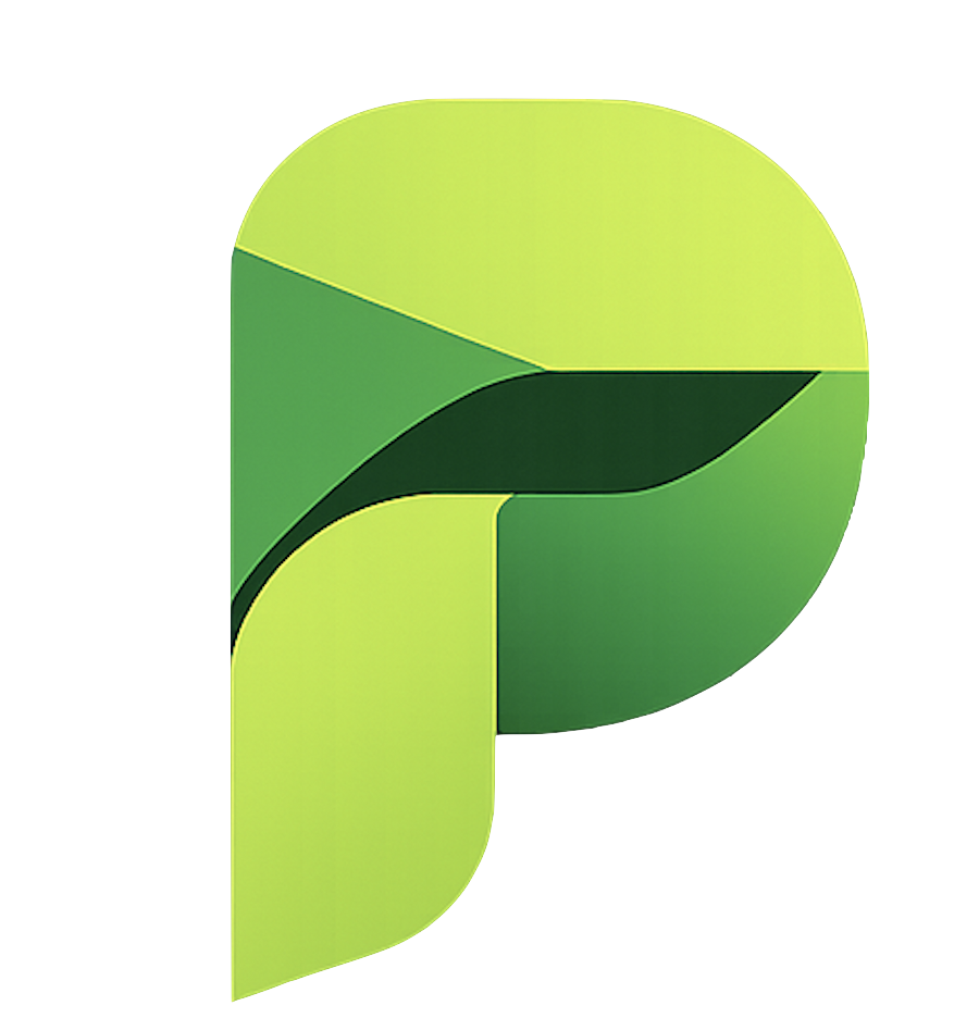 paypilotsa.com favicon